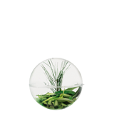Μπωλ με καπάκι Perla Amuse Bouche 50ml