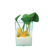 Μπωλ Διάφανο Amuse Bouche 50ml