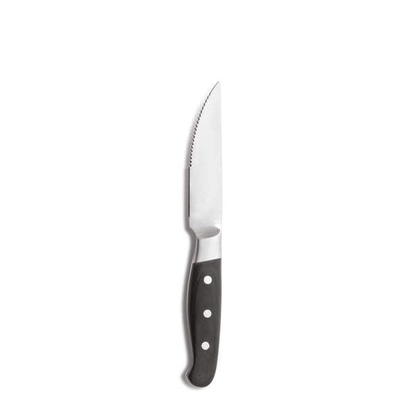 Μαχαίρι Steak Aconcagua 26 cm