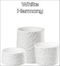White Harmony