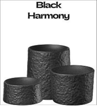 Black Harmony