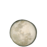Πιάτο Selene 28 cm