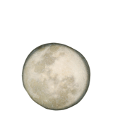 -Πιάτο Selene 31 cm